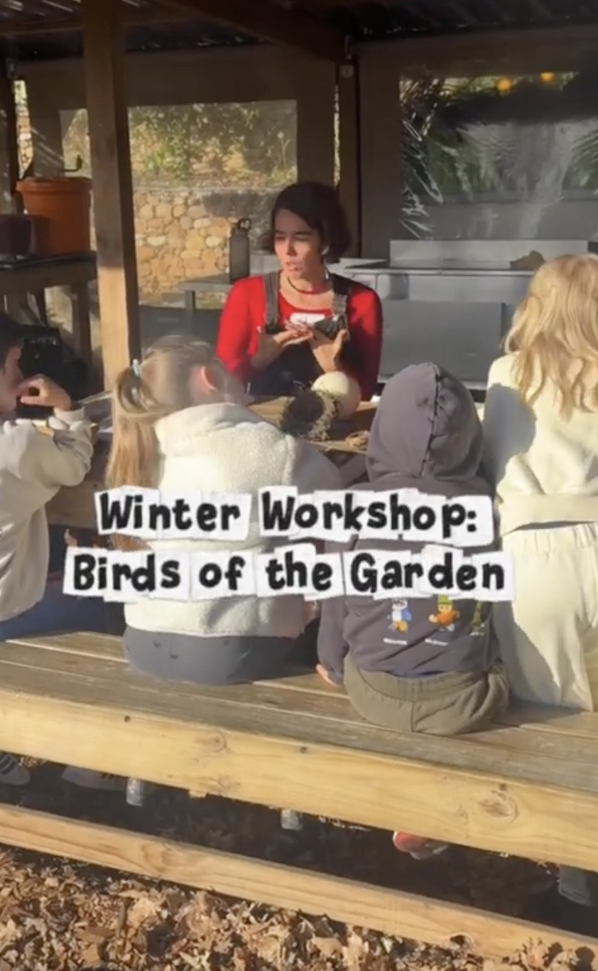 Birds of the Garden